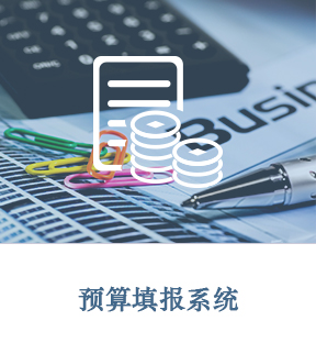 預算填報系統(tǒng)